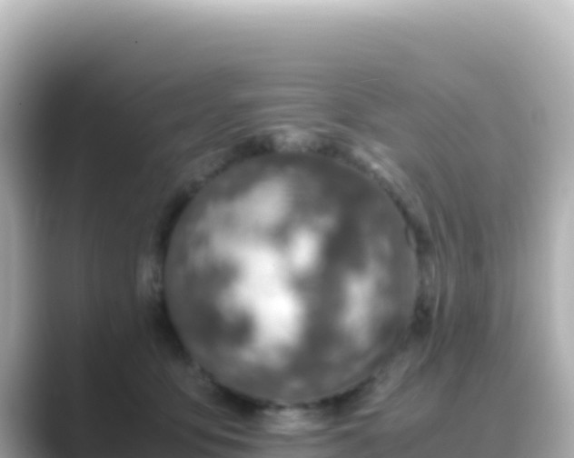 X0000089430419200706221214