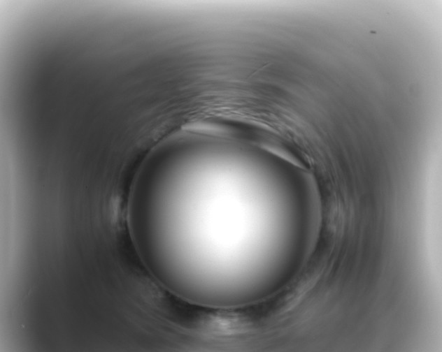 X0000089430420200706221214