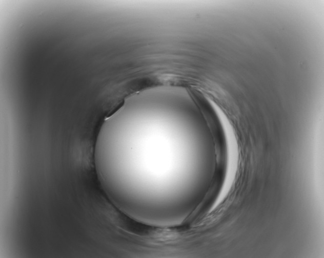 X0000089430421200706221214