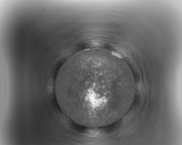 X0000089430423200706221214