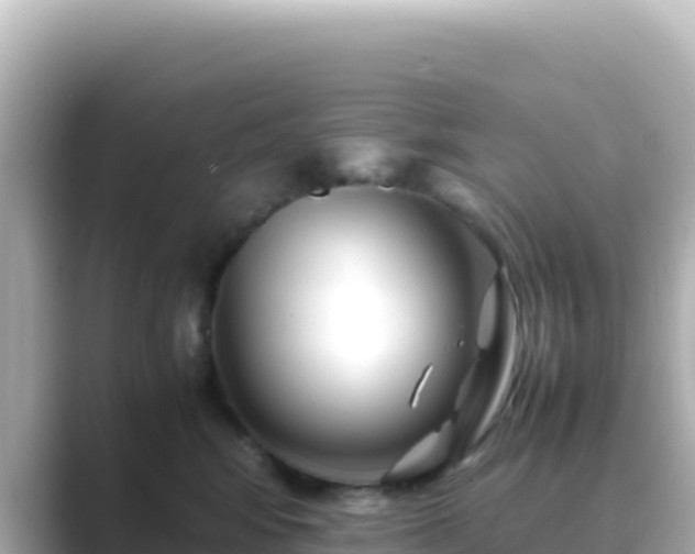 X0000089430424200706221214
