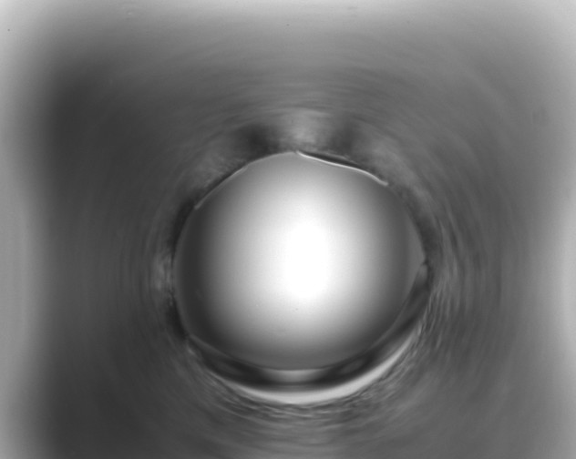 X0000089430425200706221214