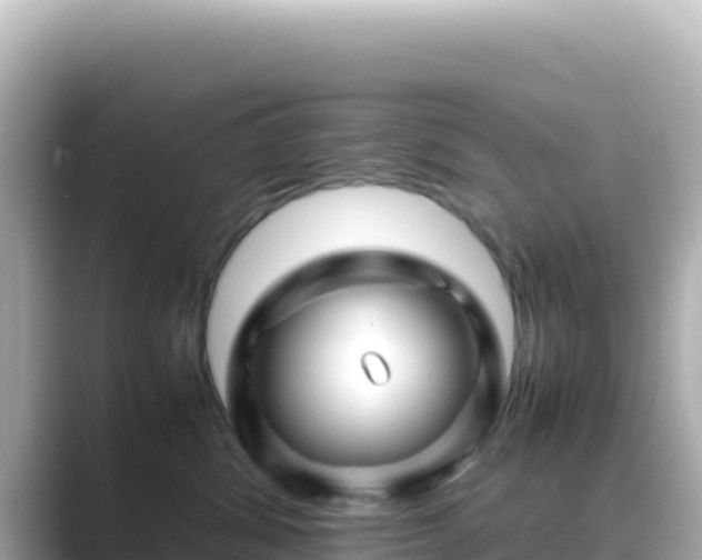 X0000089430428200706221214