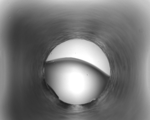 X0000089430429200706221214