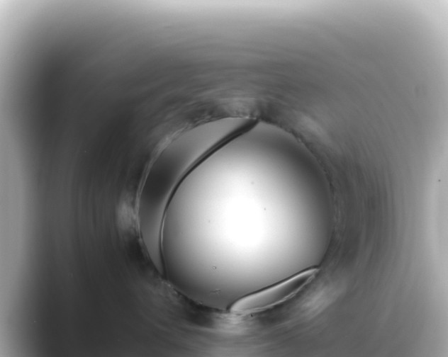 X0000089430432200706221214