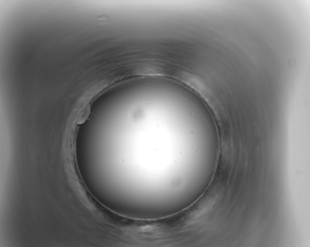 X0000089430433200706221214