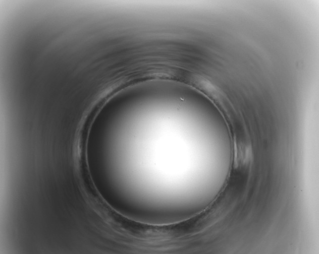 X0000089430435200706221214