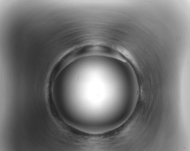 X0000089430436200706221214