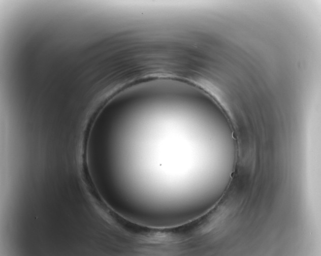 X0000089430437200706221214