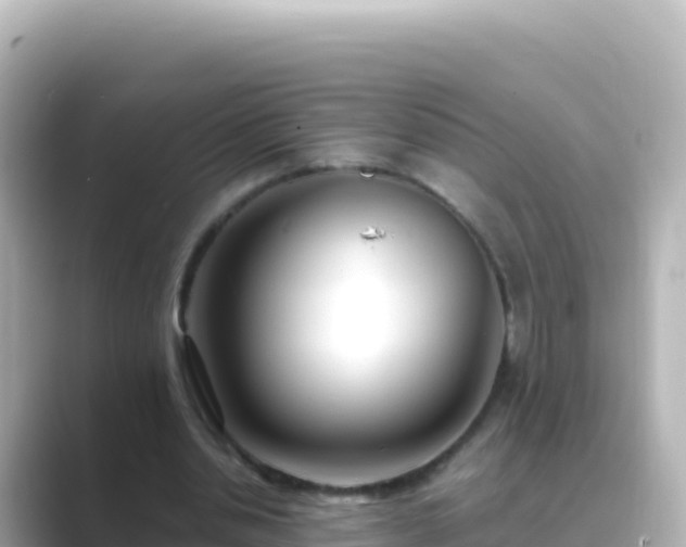 X0000089430438200706221214