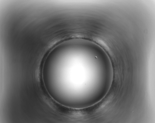 X0000089430439200706221214