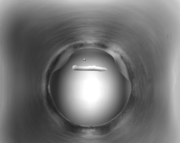 X0000089430440200706221214