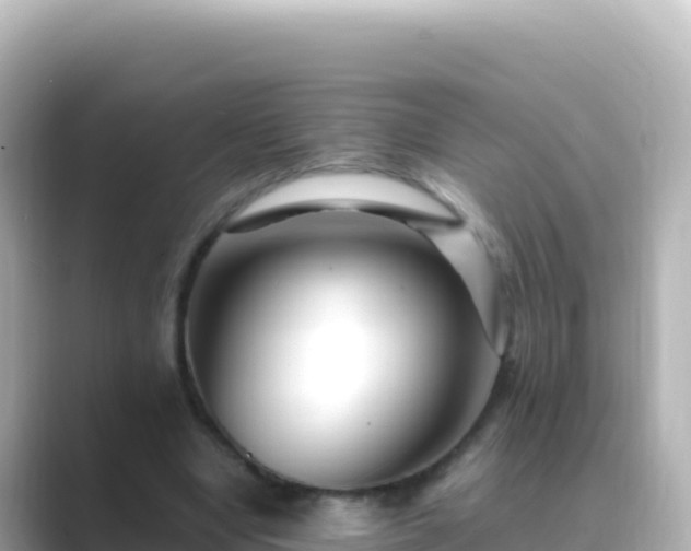 X0000089430442200706221214
