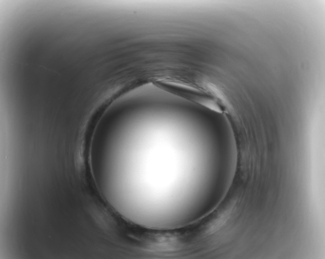 X0000089430443200706221214