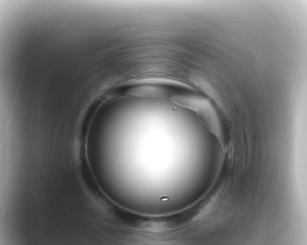 X0000089430444200706221214