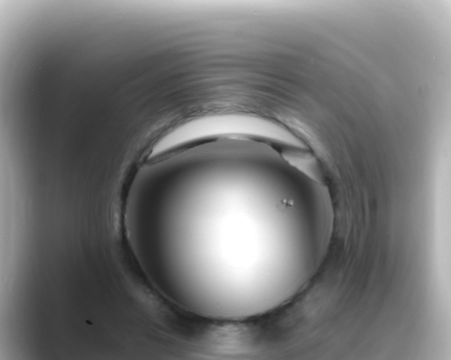 X0000089430446200706221214