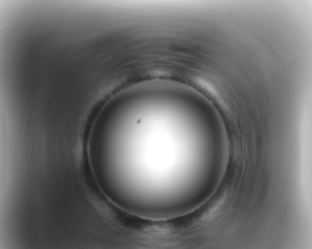 X0000089430447200706221214