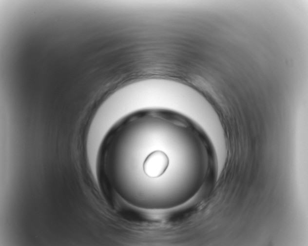X0000089430448200706221214