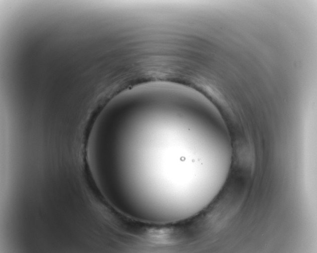 X0000089430450200706221214