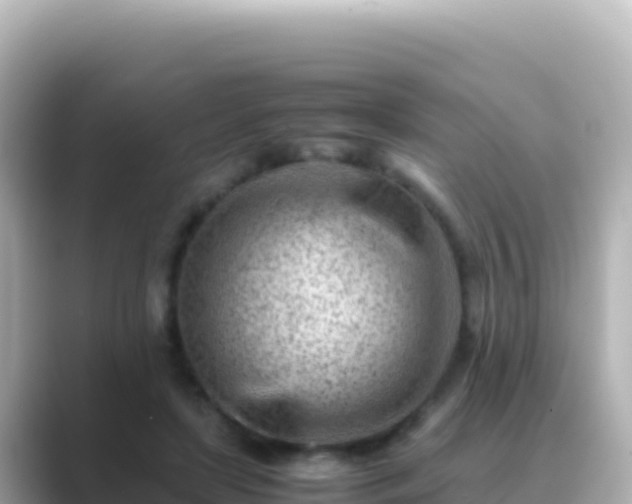 X0000089430451200706221214