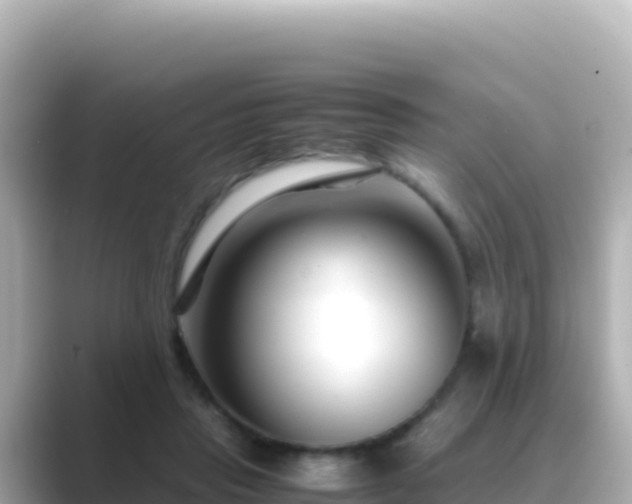 X0000089430453200706221214
