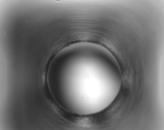 X0000089430454200706221214