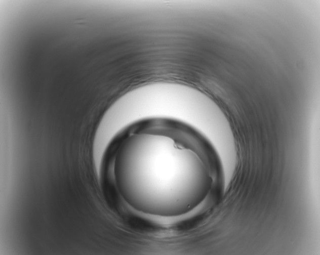 X0000089430456200706221214