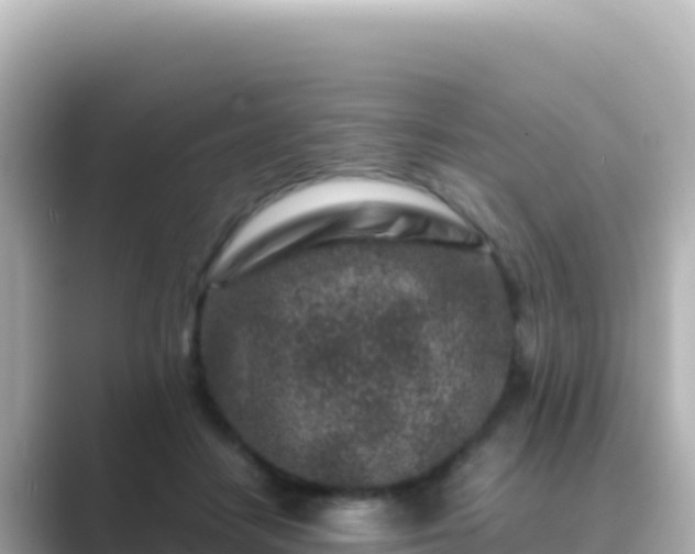 X0000089430458200706221214