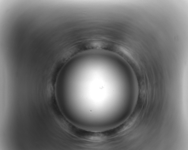 X0000089430459200706221214