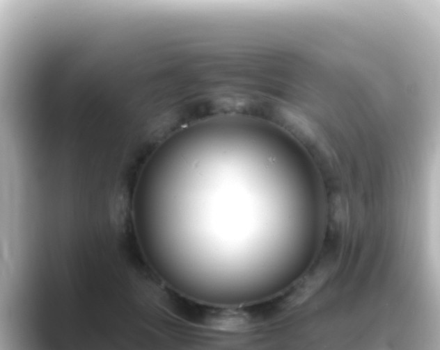 X0000089430463200706221214