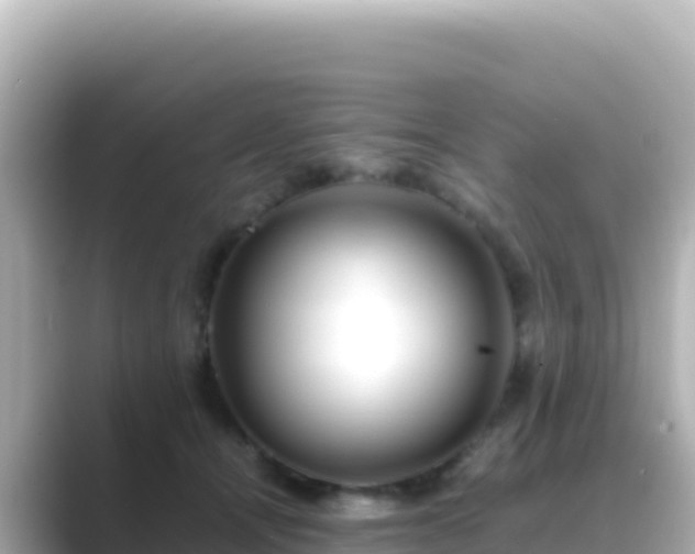 X0000089430464200706221214