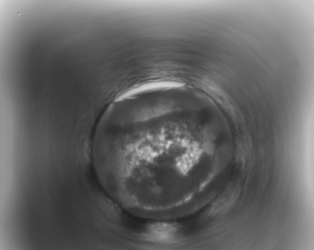 X0000089430465200706221214