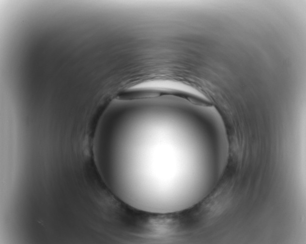 X0000089430470200706221214