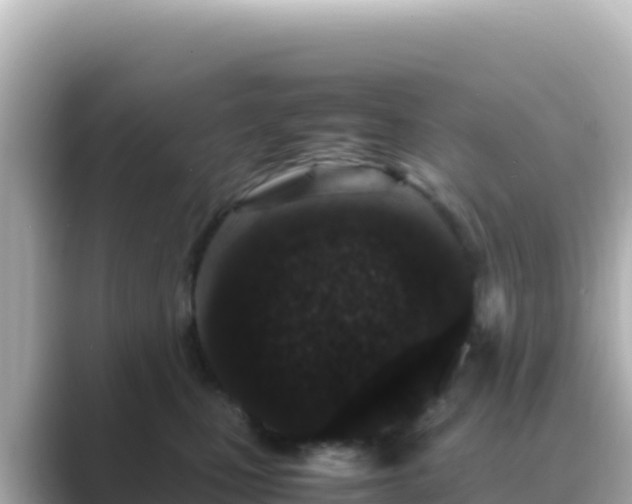 X0000089430471200706221214
