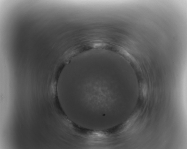 X0000089430475200706221214