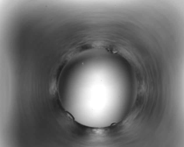 X0000089430478200706221214