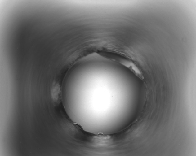 X0000089430480200706221214