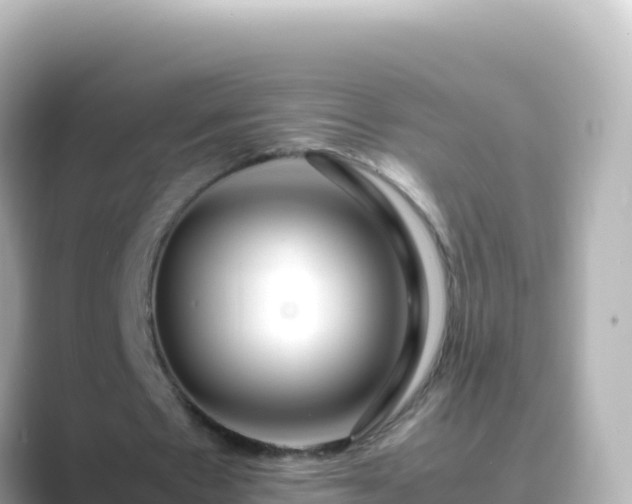 X0000089430481200706221214