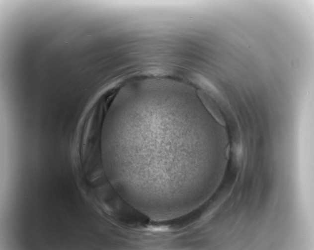 X0000089430484200706221214
