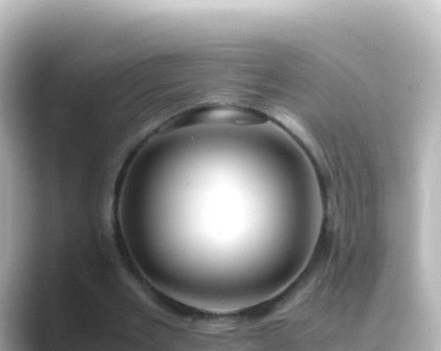 X0000089430485200706221214