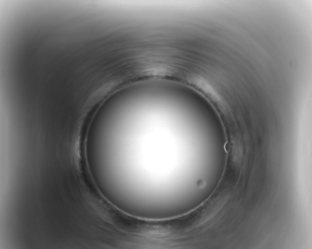 X0000089430486200706221214
