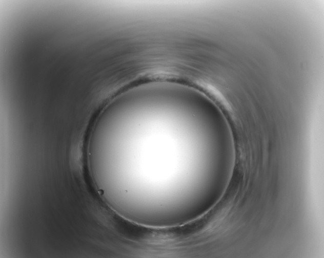 X0000089430487200706221214