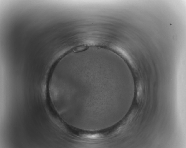 X0000089430488200706221214