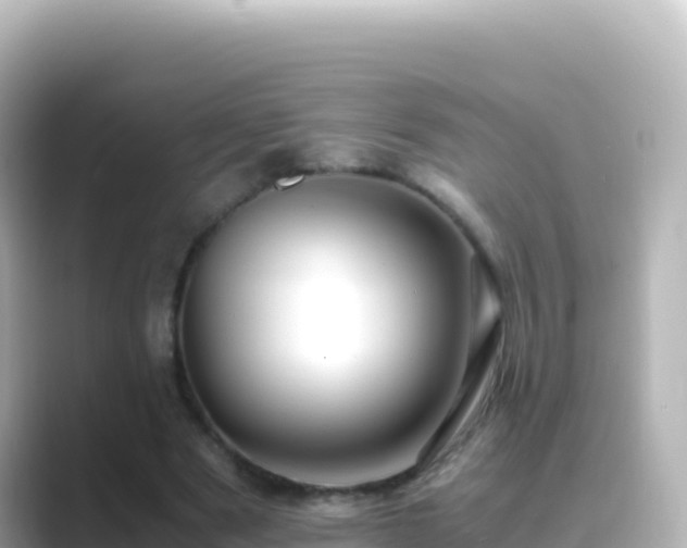 X0000089430489200706221214