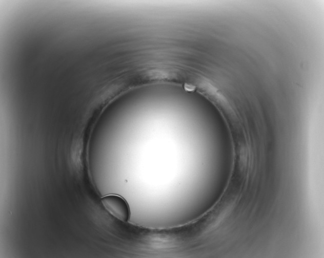 X0000089430490200706221214