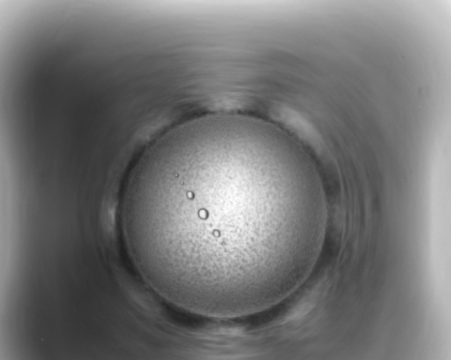 X0000089430491200706221214