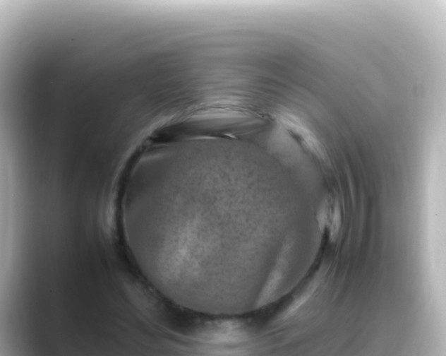 X0000089430492200706221214