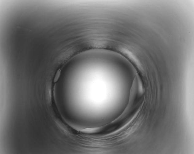 X0000089430493200706221214