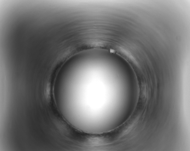 X0000089430494200706221214