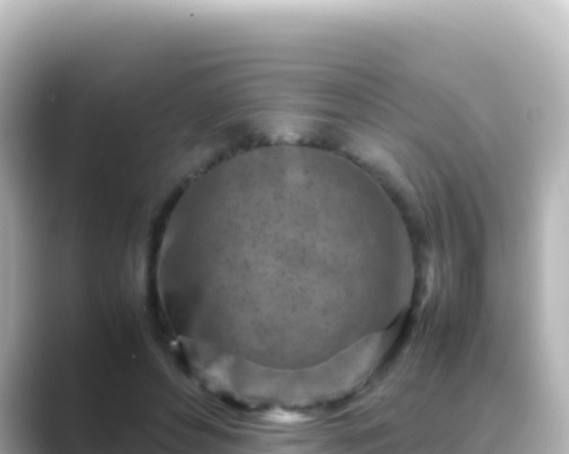 X0000089430496200706221214